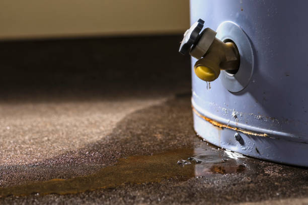Best Mold removal after water damage  in Four Cners, OR