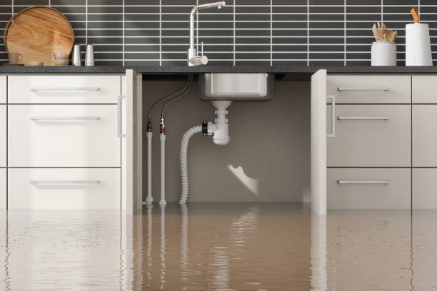 Best Fire Damage Restoration  in Four Cners, OR