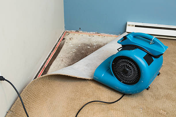 Best 24/7 water damage repair  in Four Cners, OR